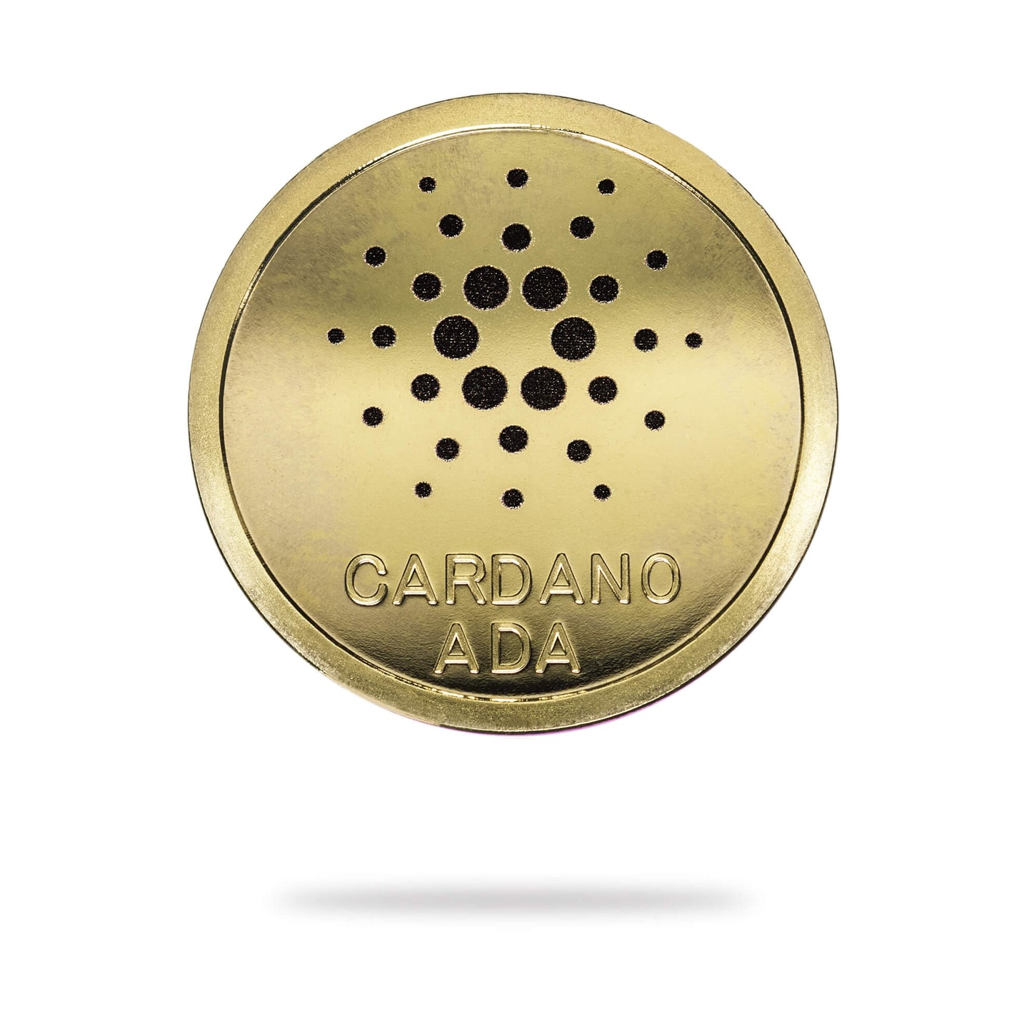 Cardano (2021 Edition)